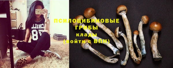 прущая мука Алзамай