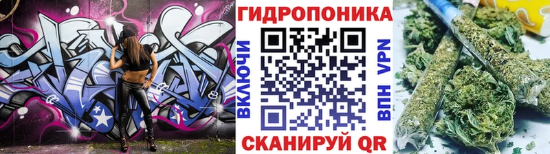 Бошки Шишки план  Покров 